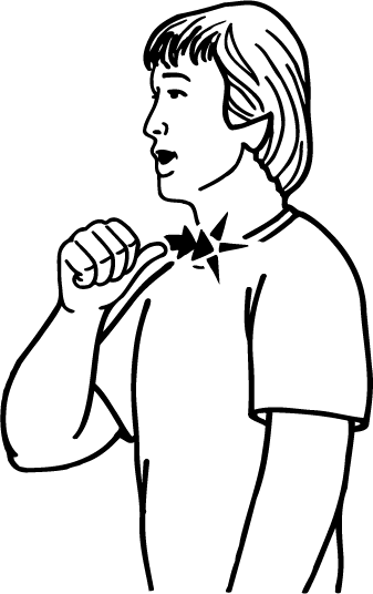 meat-5489-high_resolution.png - main