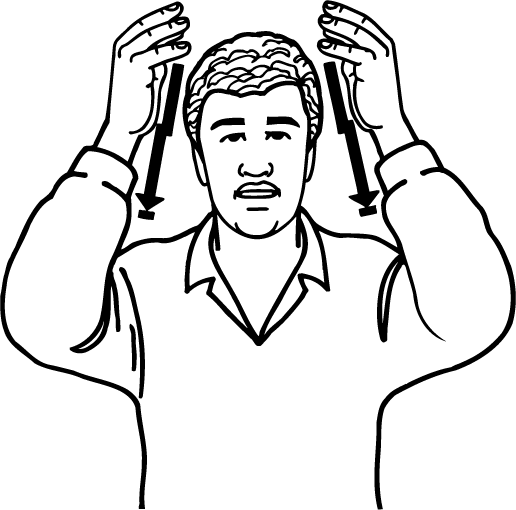 lion-5525-high_resolution.png - main