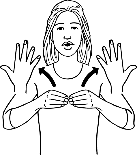 website-5561-high_resolution.png - main