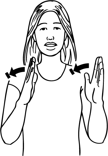 italic-5567-high_resolution.png - main