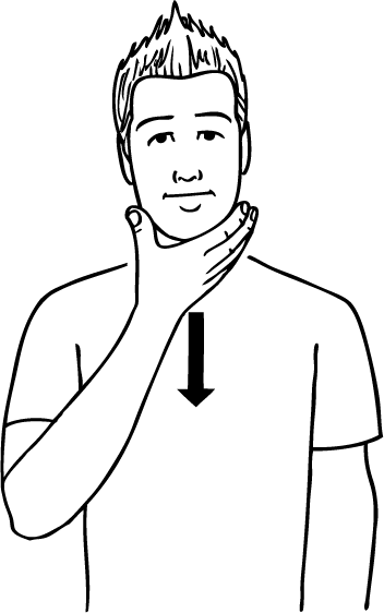 beard-5573-high_resolution.png - main