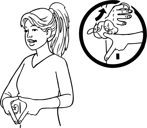 cervix-5679-high_resolution.png - main