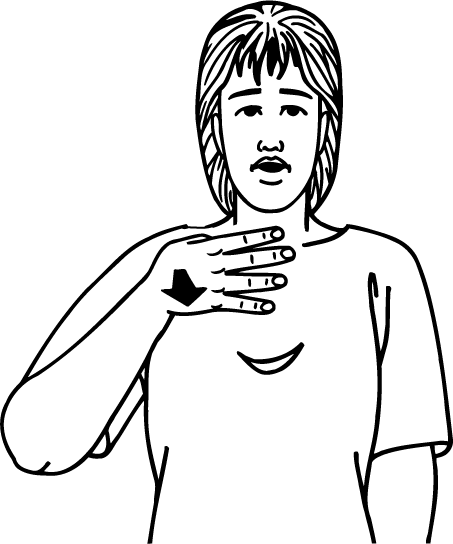 nine-5695-high_resolution.png - main