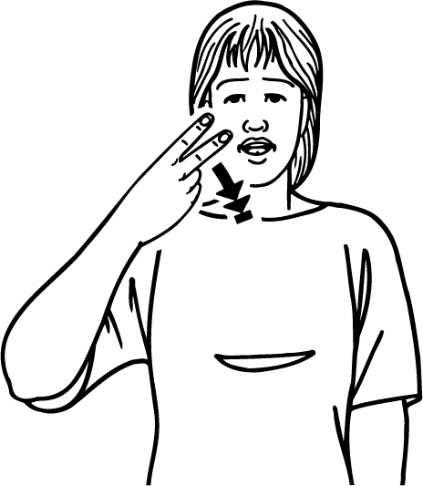 seventeen-5698-high_resolution.png - main