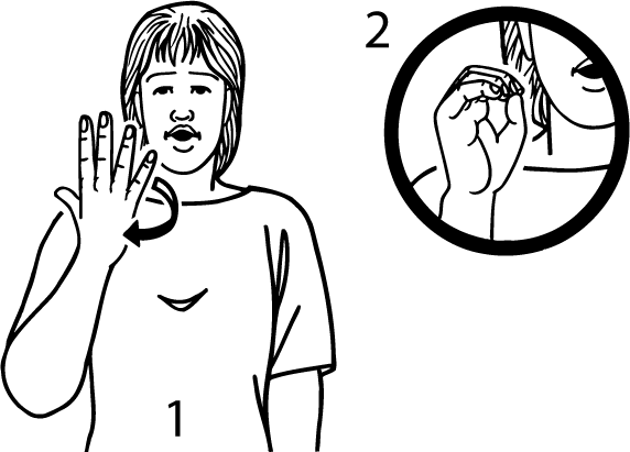 fifty-5708-high_resolution.png - main