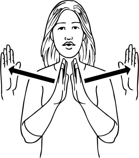 zoom_in_computer-5772-high_resolution.png - main