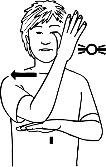 forest-5798-high_resolution.png - main