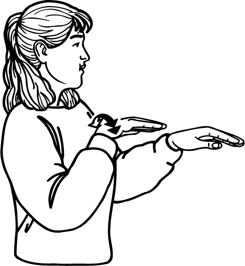 trailer-581-high_resolution.png - main