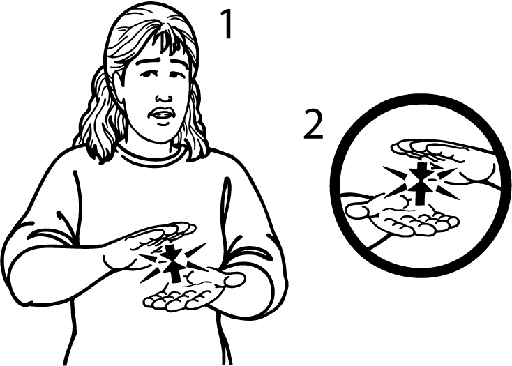 sandwich-584-high_resolution.png - main