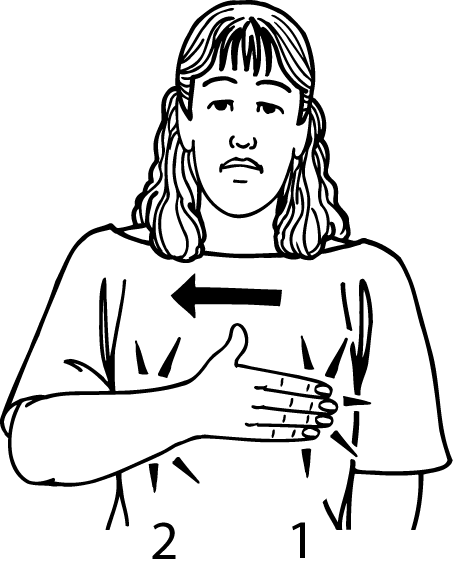 breast-5854-high_resolution.png - main