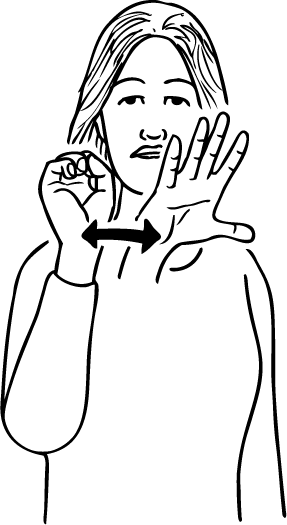 flash_camera-5889-high_resolution.png - main