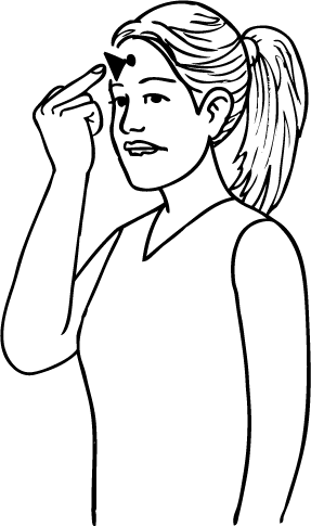 what_the_hell-5891-high_resolution.png - main