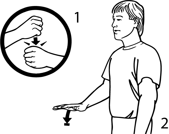 grandchild-5897-high_resolution.png - main