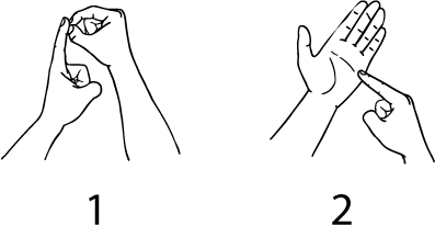 polytechnic-5937-high_resolution.png - main