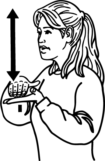 balance-594-high_resolution.png - main