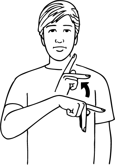 professional-5942-high_resolution.png - main