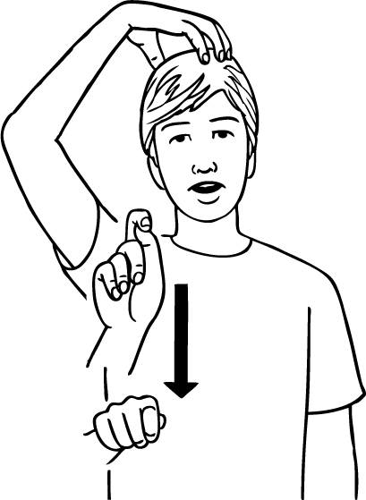 Queenstown-5944-high_resolution.png - main