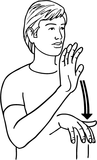 scratch-5954-high_resolution.png - main