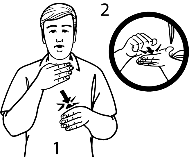 workshop-5981-high_resolution.png - main