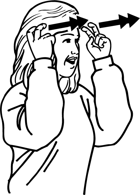 transport-5983-high_resolution.png - main