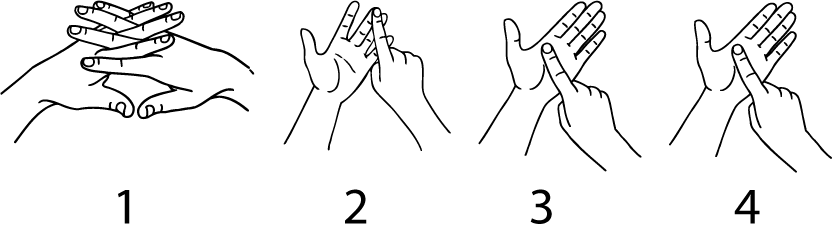 will-5993-high_resolution.png - main