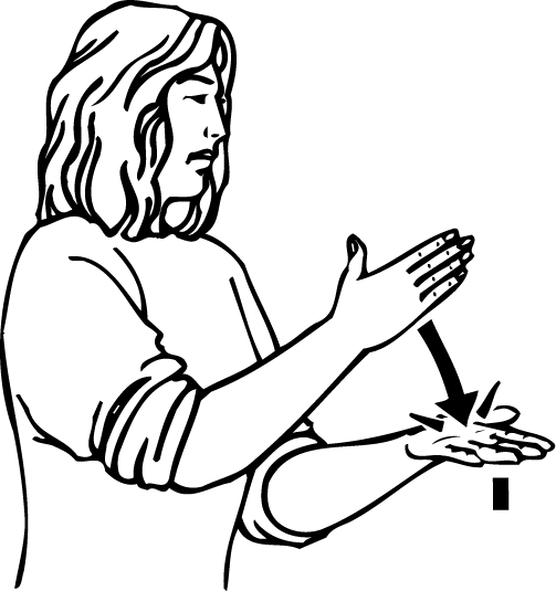 park_car-603-high_resolution.png - main