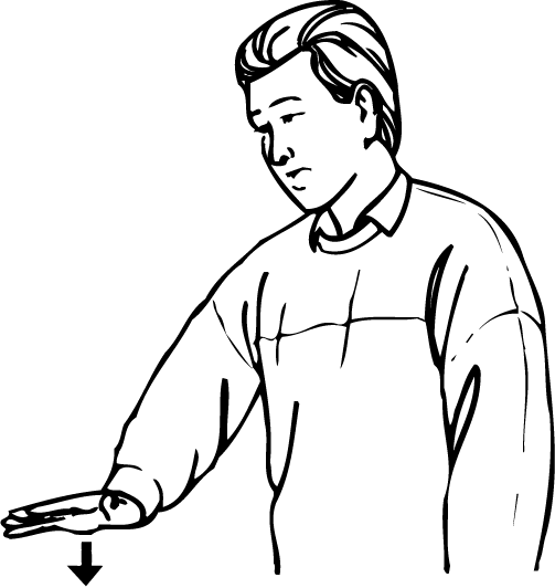 bottom-6036-high_resolution.png - main