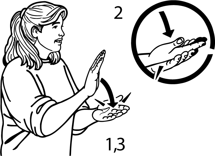 barbecue-604-high_resolution.png - main