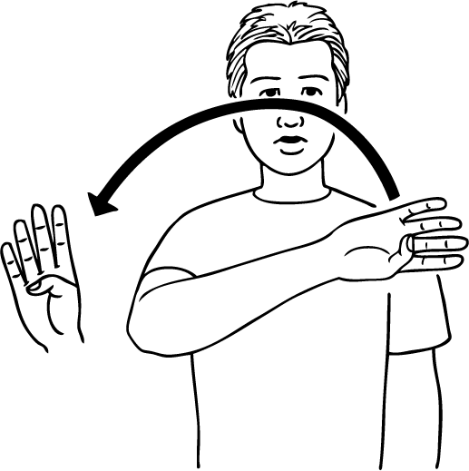 rainbow-6045-high_resolution.png - main