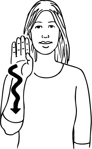 Brazil-6064-high_resolution.png - main