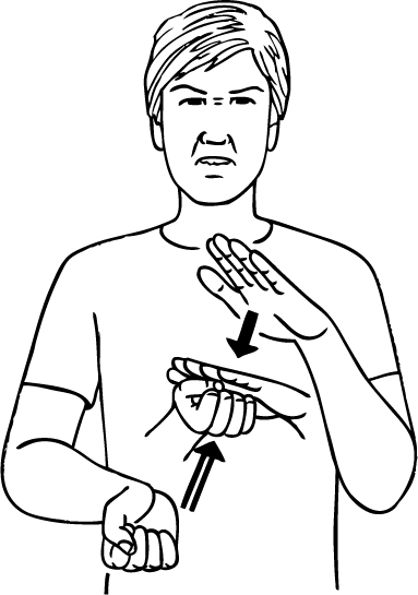 fool-6094-high_resolution.png - main