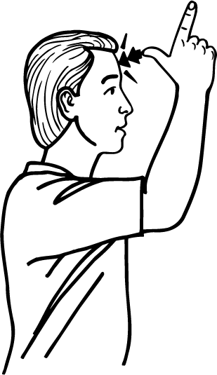 Steinlager_beer-6153-high_resolution.png - main