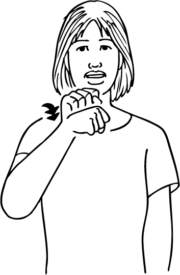 Taiwan-6161-high_resolution.png - main