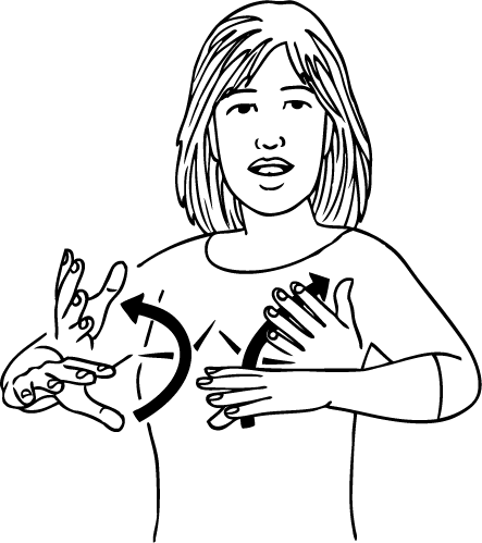 ready_made-6181-high_resolution.png - main