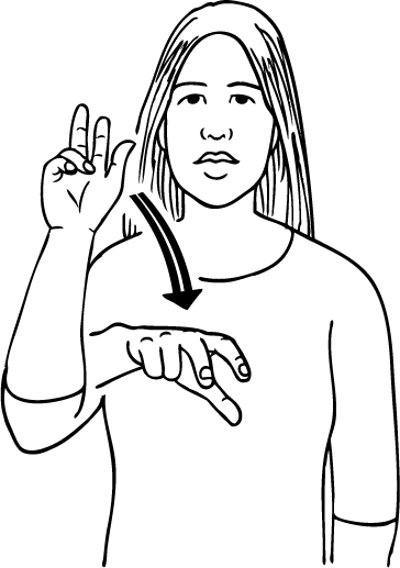 bowl_cricket-6196-high_resolution.png - main