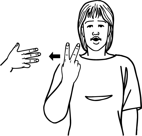 twenty_nine-6221-high_resolution.png - main