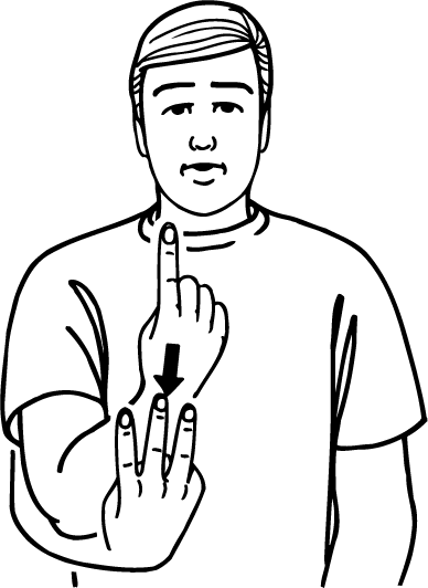 one_third-6232-high_resolution.png - main