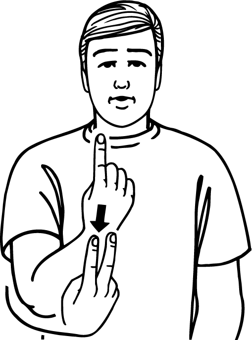 one_half-6235-high_resolution.png - main