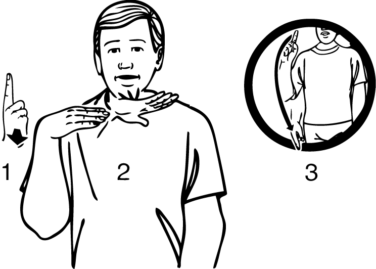 hundred_thousand-6239-high_resolution.png - main