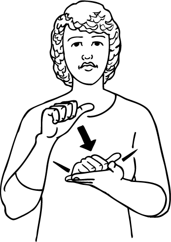 right-6252-high_resolution.png - main