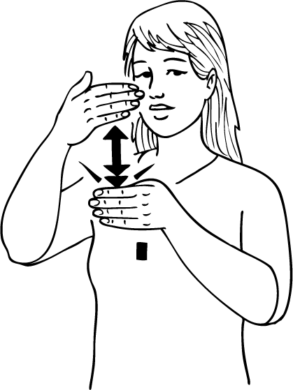 window-6308-high_resolution.png - main