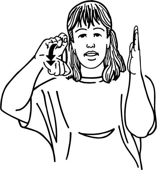 film-6334-high_resolution.png - main