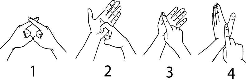 x_ray-6336-high_resolution.png - main