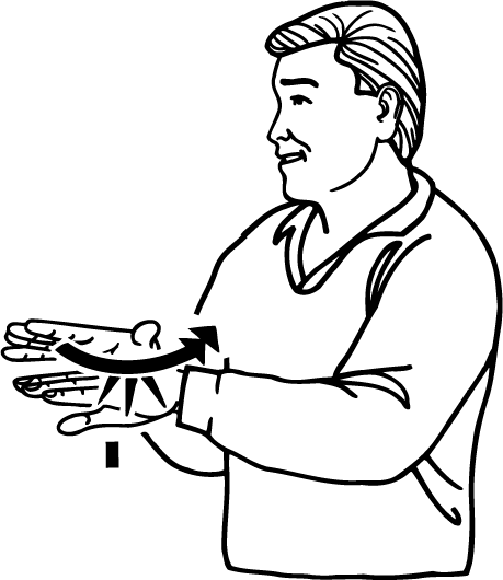 cat-637-high_resolution.png - main