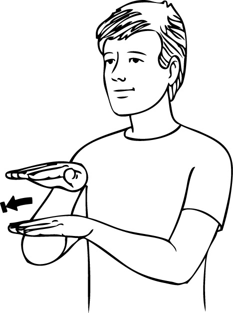 bunk_bed-6375-high_resolution.png - main