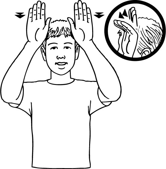 donkey-6395-high_resolution.png - main