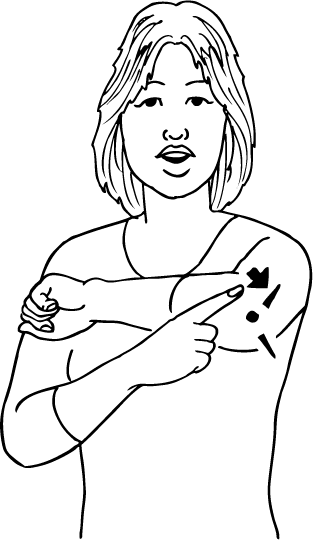 elbow-6399-high_resolution.png - main