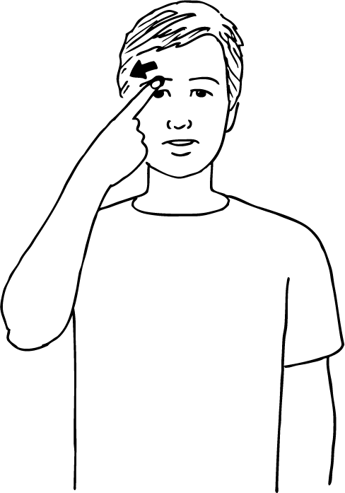 eyebrow-6401-high_resolution.png - main