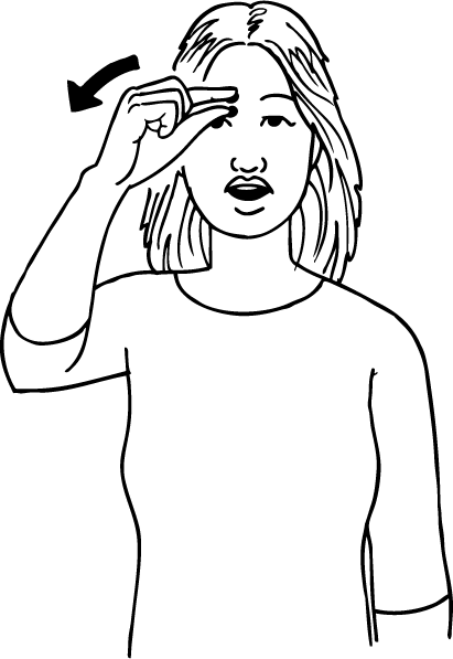 eyebrow-6402-high_resolution.png - main