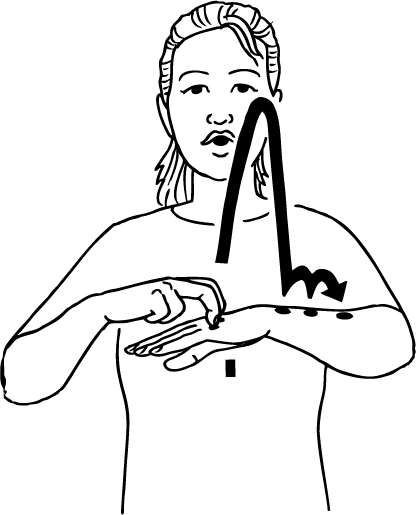 grasshopper-6411-high_resolution.png - main